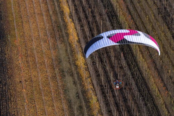 FLEXOR 1 scaled Sky Paragliders - FLEXOR